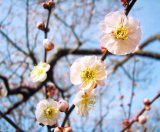 【プロ必見】三寒四温の現場を乗り切る！2月のリフォーム需要とe-Taxの落とし穴