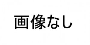 画像1: ジェイトップユーコー　ヘッド  FY184H-C (1)