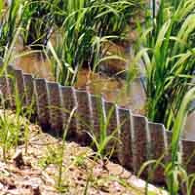 画像2: 【積水テクノ】　畦畔板（あぜ板） (2)