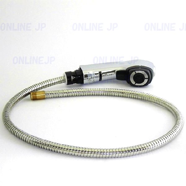 画像1: HC745M3　ヘッド＆ホースユニット【KVK】 (1)