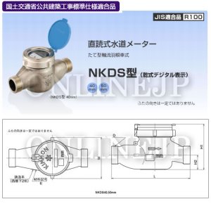 画像1: NKDS50　　azbil  エコメーター    （メーターパッキン2枚付き）【期間限定品】【アズビル金門】 (1)