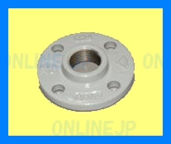 画像1: JIS5K コーティングねじ込みフランジ (1)