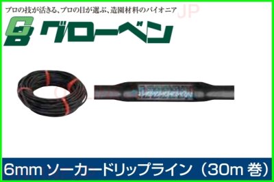 画像1: 【グローベン】　6mm ソーカードリップライン（30m 巻） C10SP150D (1)