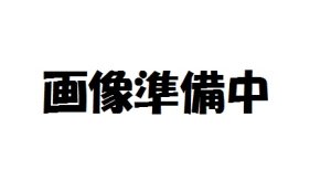 画像1: 浄化槽用　嵩上げ（PVC枠付）500x300H (1)