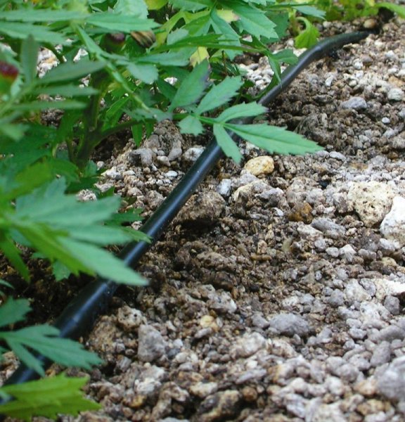 画像2: NO-573-55-10　マカロニドリップ  【株式会社カクダイ】　マカロニホース用 (2)