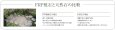 画像2: A60CZ101　庭石　G 　FRP製　【グローベン】 (2)