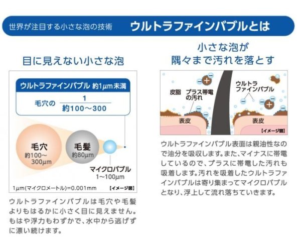 画像9: PS7964-CT6A-MW2【SANEI株式会社】浄水ファインバブルシャワーセット (9)