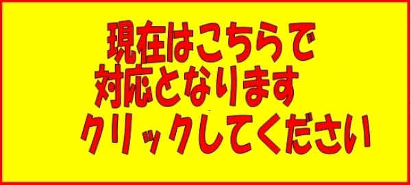 画像1: HC187DW-R833   洗髪水栓用シャワーホース【KVK】 (1)