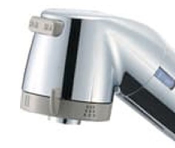 画像1: MS818-83F 【SANEI株式会社】 シャワーヘッド (1)