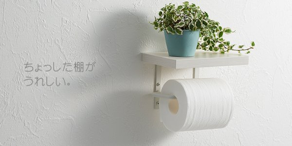 画像3: W2107-W/D【SANEI株式会社】アイアンペーパーホルダー棚付  (3)