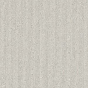 画像1: NT-367   タイルカーペット 50×50cm 20枚入り サンゲツ (1)