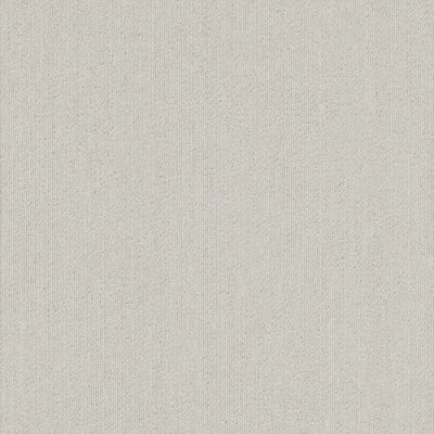 画像1: NT-367   タイルカーペット 50×50cm 20枚入り サンゲツ (1)