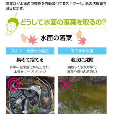 画像5: C50HE301【グローベン】フロートスキマー　（ポンプ 別途）　旧C50HE300 (5)