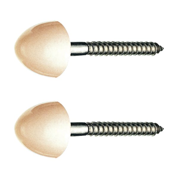 画像2: R43-6-6.2X63-W/PI【SANEI株式会社】大便器床取付ビス  (2)