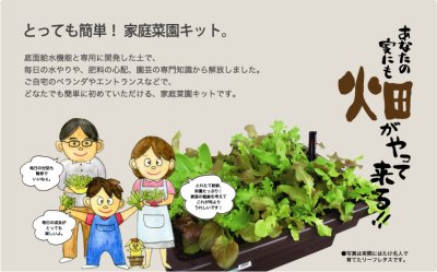 画像2: はたけ名人【ミズタニバルブ】 (2)