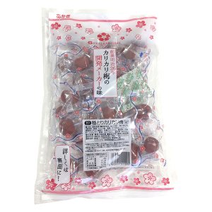 画像1: 赤城フーズ 種とりカリカリ梅 1袋 210g(大粒) 業務用サイズ 熱中対策 (1)