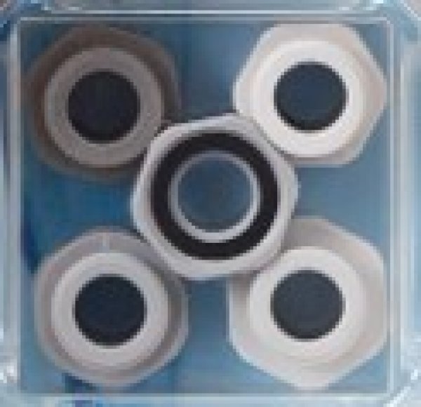 画像1: MT25-BSA【SANEI株式会社】樹脂シャワーアダプター5個セット (1)