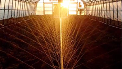 画像2: スミサンスイ R ハウスワイド 100m巻 WB8131 2巻入【住化農業】  (2)