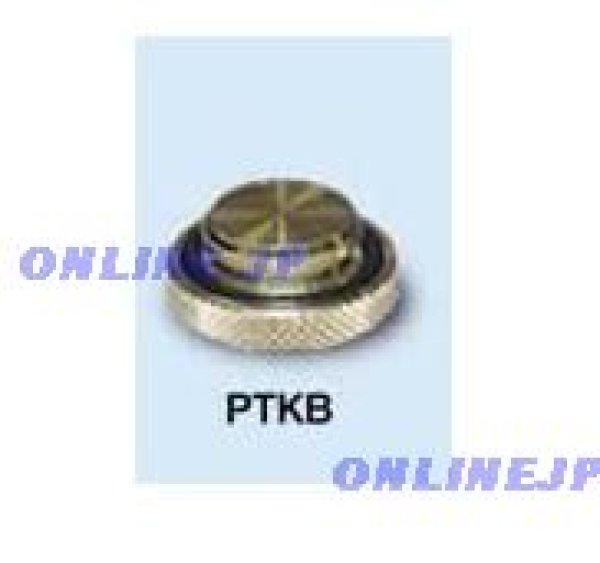 画像1: PTKB　プッシュマスター　テストアダプタ用専用プラグ（5個単位）【ブリヂストン】　 (1)