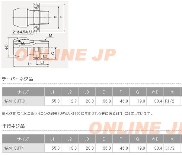 画像2: NAM13JT  プッシュマスター　座付オスアダプター【ブリヂストン】　 (2)