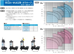 画像2: WUZ2-655-2.2　川本製作所　WUZ4 海水用チタン製水中ポンプ　　50Hz　非自動型 (2)