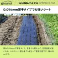 画像6: 【密植栽培向け】オーミヤ AMS95BK10-1545 黒マルチ 95cm×100m | 15cmピッチ 45mm穴 (6)