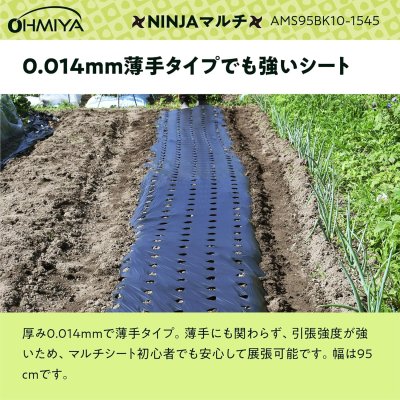 画像6: 【密植栽培向け】オーミヤ AMS95BK10-1545 黒マルチ 95cm×100m | 15cmピッチ 45mm穴 (6)