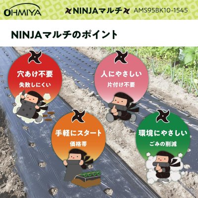画像3: 【密植栽培向け】オーミヤ AMS95BK10-1545 黒マルチ 95cm×100m | 15cmピッチ 45mm穴 (3)