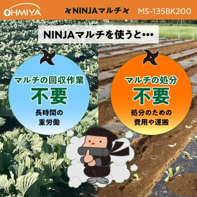 画像3: MS-135BK200 OMIYA/オーミヤ マルチ 0.02mm厚 135cm幅 200m | 農業資材 専門店 (3)