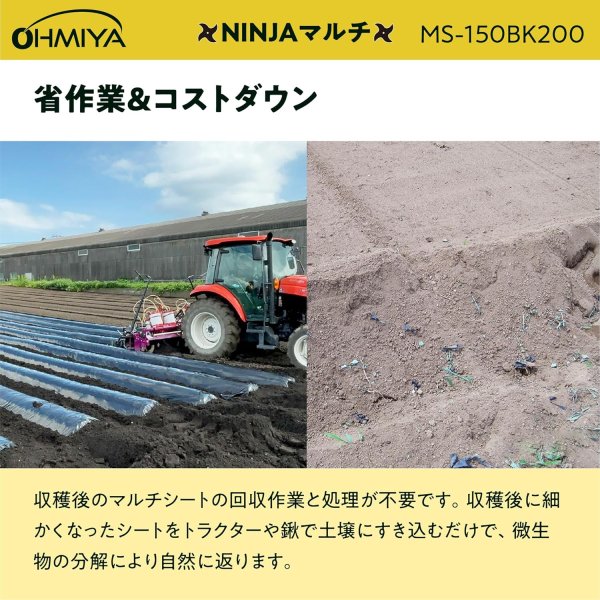 画像3: MS-150BK200 OMIYA/オーミヤ 黒マルチ 0.02mm厚 150cm幅 200m | 農業資材 専門店 (3)