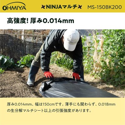 画像4: MS-150BK200 OMIYA/オーミヤ 黒マルチ 0.02mm厚 150cm幅 200m | 農業資材 専門店 (4)