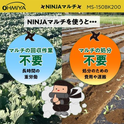 画像6: MS-150BK200 OMIYA/オーミヤ 黒マルチ 0.02mm厚 150cm幅 200m | 農業資材 専門店 (6)