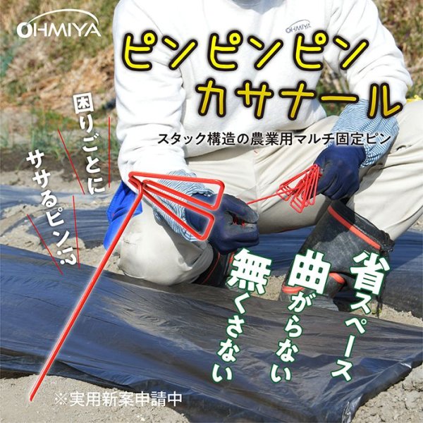 画像3: MS-95BKPP オーミヤ NINJAマルチ ピンピンピンカサナールセット 10m幅95cm (3)