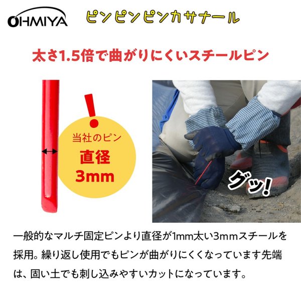 画像6: MS-95BKPP オーミヤ NINJAマルチ ピンピンピンカサナールセット 10m幅95cm (6)