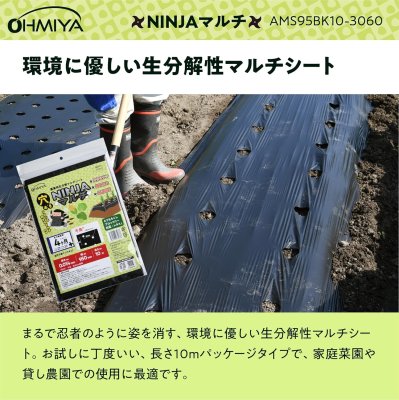 画像4: AMS95BK10-3060 OMIYA/オーミヤ 穴あきマルチ（30cm株間/60mm径）| 農業資材 専門店 (4)