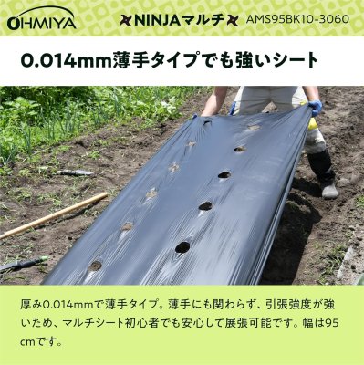 画像5: AMS95BK10-3060 OMIYA/オーミヤ 穴あきマルチ（30cm株間/60mm径）| 農業資材 専門店 (5)