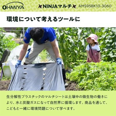 画像6: AMS95BK10-3060 OMIYA/オーミヤ 穴あきマルチ（30cm株間/60mm径）| 農業資材 専門店 (6)