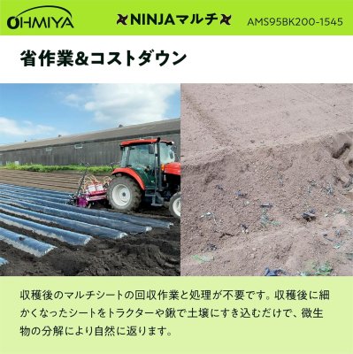 画像4: 【穴あきマルチの決定版】AMS95BK200-3060 NINJAマルチ 95cm 200m | トンネル栽培・地温上昇に最適 (4)