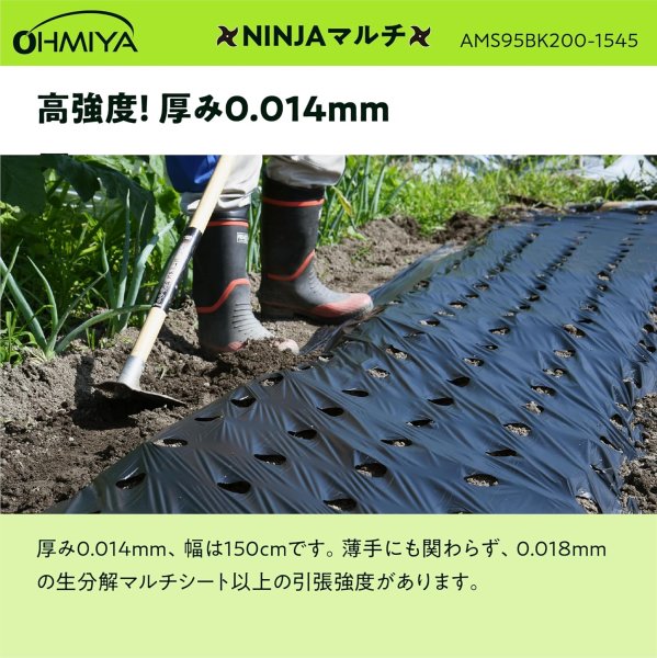 画像5: 【穴あきマルチの決定版】AMS95BK200-1545 NINJAマルチ 95cm 200m | トンネル栽培・地温上昇に最適 (5)