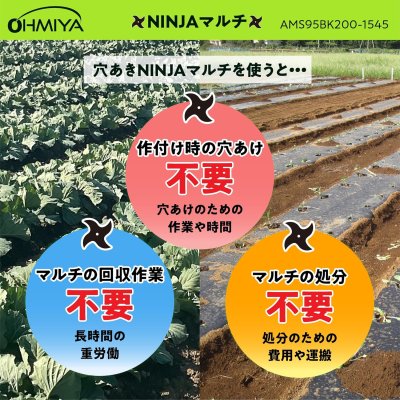 画像7: 【穴あきマルチの決定版】AMS95BK200-3060 NINJAマルチ 95cm 200m | トンネル栽培・地温上昇に最適 (7)