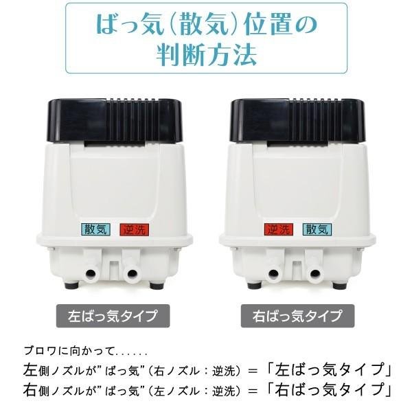 画像2: EP-80GL・EP-80GR ブロアポンプ【安永エアポンプ】電磁式エアーポンプ　逆洗タイマー付タイプ 【省エネ型】 (2)