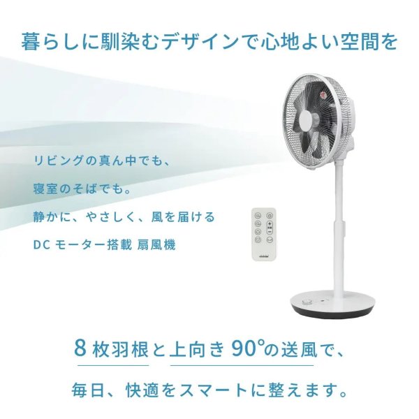 画像9: トヨトミ FS-DHT30R リビング扇風機 DCモーター搭載 8枚羽根 タッチストップ (9)