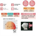 画像3: ナカトミ 赤外線ヒーター ぬく助 SH17D 50/60Hz兼用 業務用放射式ヒーター (3)