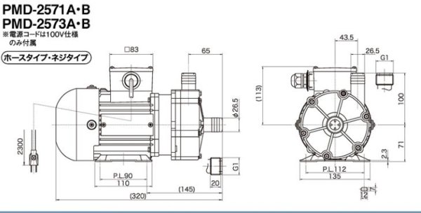 画像2: PMD-2571A2P-　三相電機　マグネットポンプ　ケミカル・海水用　フランジ接続口径1B　250W (50Hz)　単相100V (2)