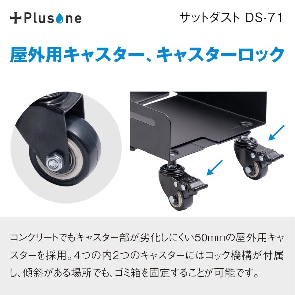 画像4: DS-71　Plusone（プラスワン）　サットダスト  【オーミヤ　OHMIYA】 (4)
