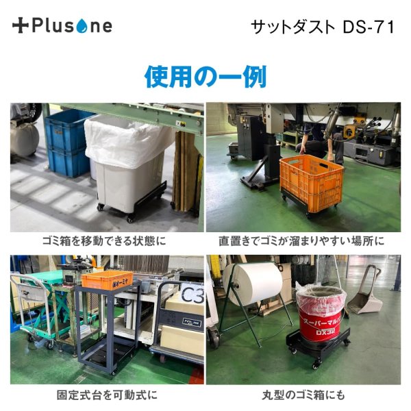 画像5: DS-71　Plusone（プラスワン）　サットダスト  【オーミヤ　OHMIYA】 (5)