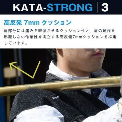 画像3: SP-51　Plusone（プラスワン）　カタストロング3  【オーミヤ　OHMIYA】 (3)