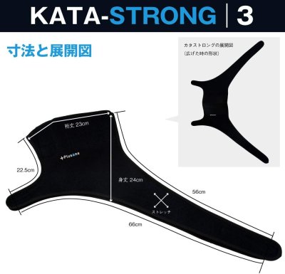 画像7: SP-51　Plusone（プラスワン）　カタストロング3  【オーミヤ　OHMIYA】 (7)