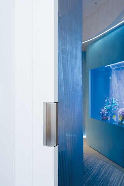 画像5: PRE-W150-02-45-　ユニオン　プレガノ　ホテル客室ドア用　フラッシュプル　スライディングドア　室内建具 引戸/開扉　1ケ (5)