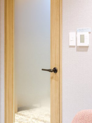 画像4: ユニオン　UL1087-001　プレガノ　ホテル客室ドア用　レバーハンドル　室内建具 引戸/開扉　レバーハンドル＋専用プレート（内外用各1個、錠前含まず） (4)